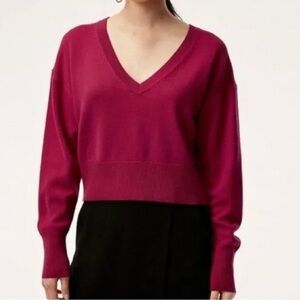 Aritzia Babaton Ollie  Sweater